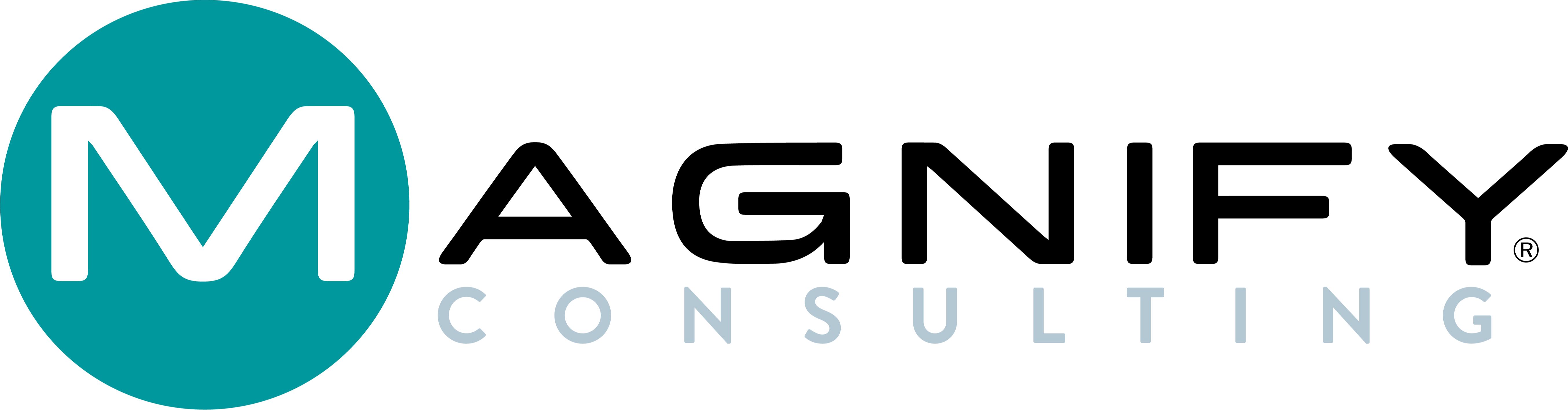 Magnify Consulting